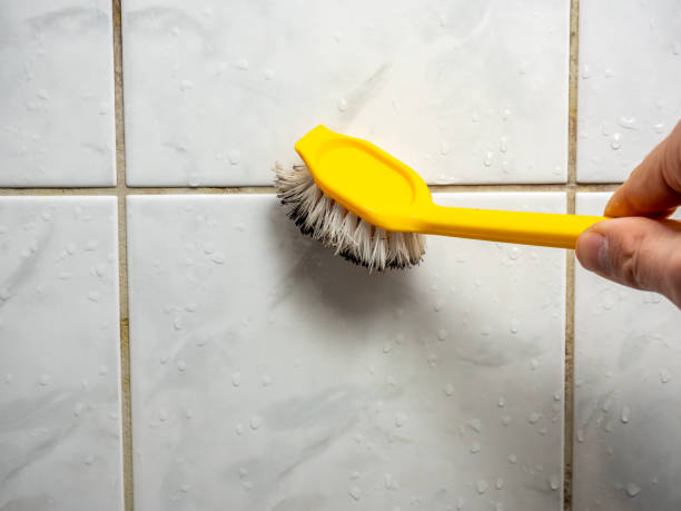 Best Office Mold Removal Services  in Kensington, CT